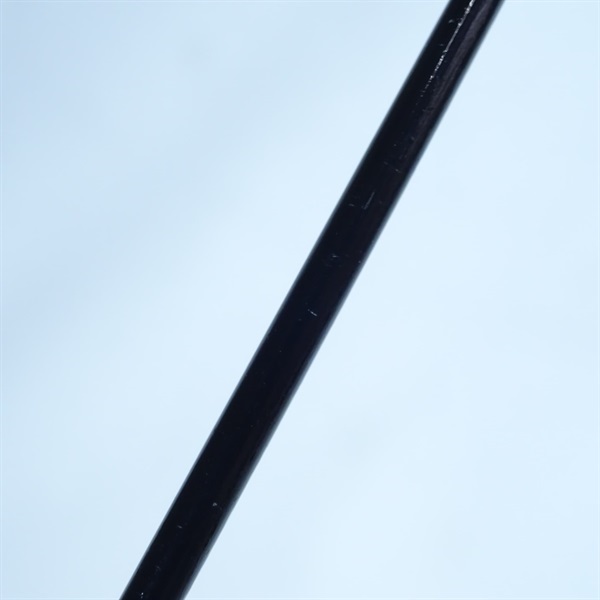 蒼竜イカダ１８０